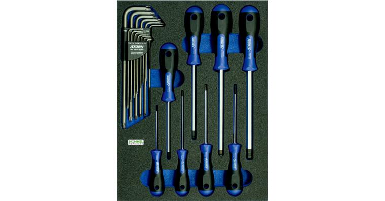 6kant-/TORX®-Schraubendreher-Satz 21-teilig in OPT-I-STORE Einlage 260x345x30mm