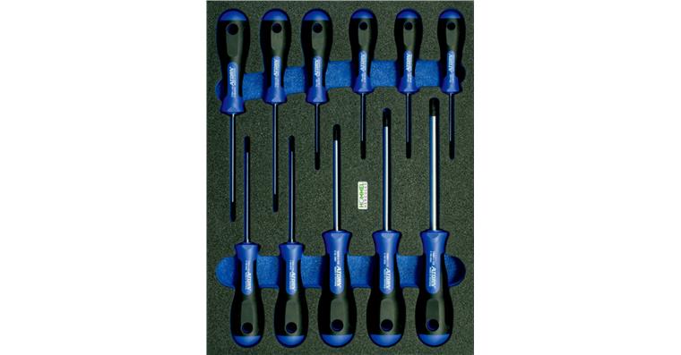 TORX®-Schraubendreher-Satz mit Bohrung 11tlg in OPT-I-STORE Einlage 260x345x30mm