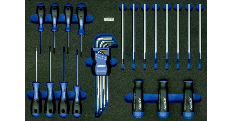 OPT-I-STORE insert 520x345x30mm for TX® torque screwdriver set no. 59658 101