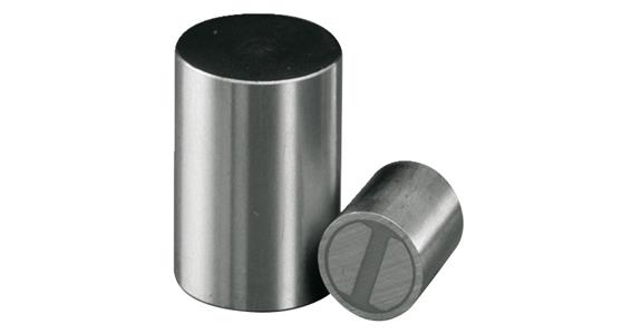 Stabgreifer-Magnet Ø 10 mm 45 N Toleranz h6 Neodym (NdFeB) abgeschirmt max. 80°C