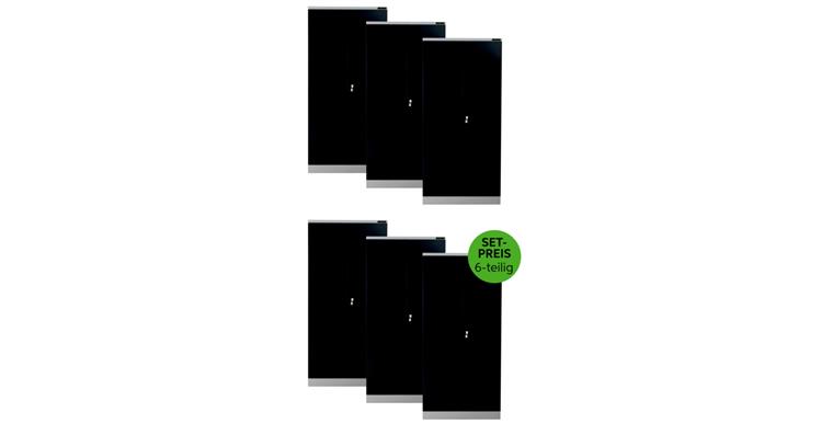 LIZZARD Flügeltürschrank H1950xB920xT420 mm RAL7035/7016 mit 4 Fachböden 6er-Set